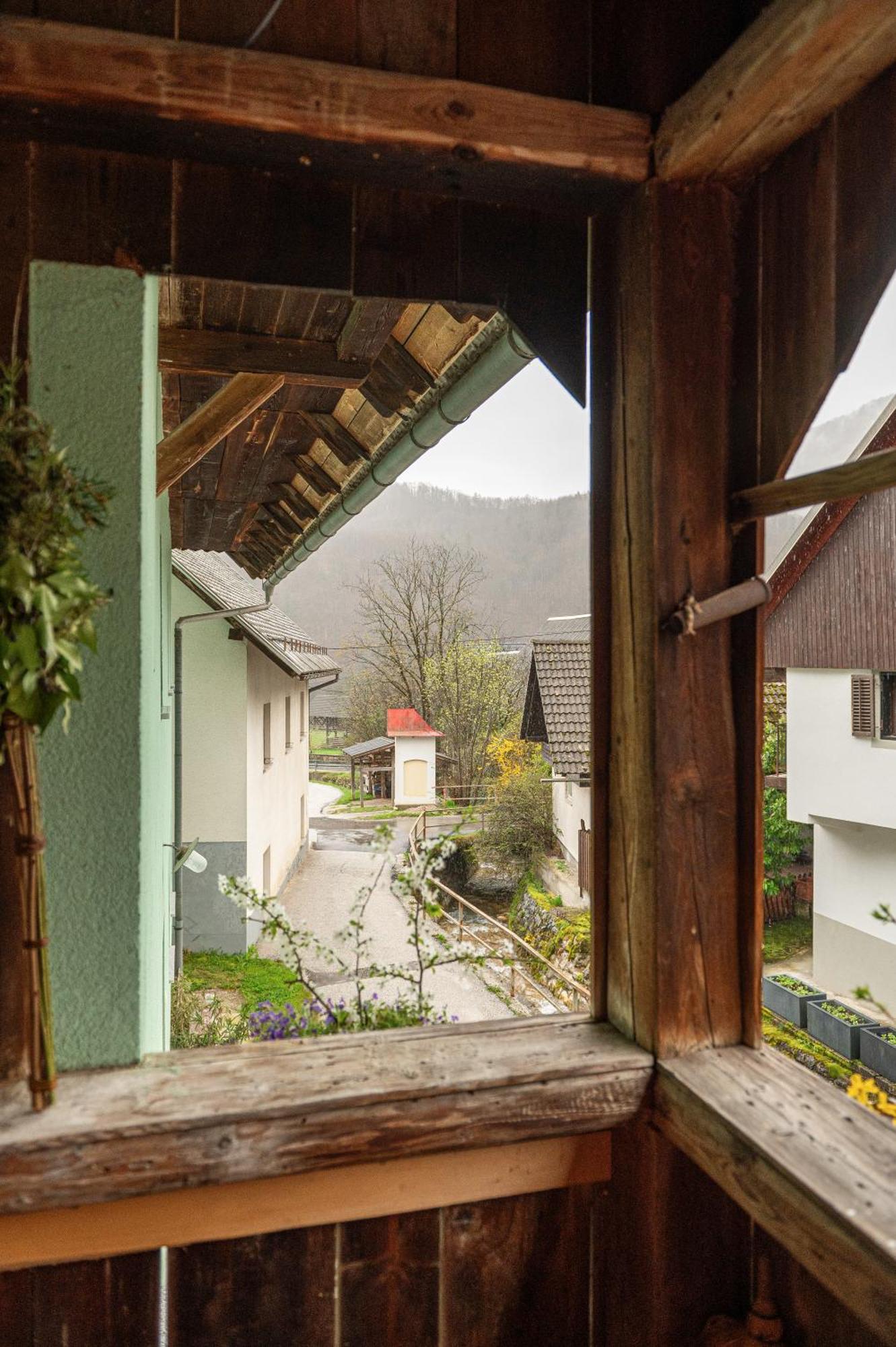 Zelena Hisa Pri Bjov Apartment Bohinjska Bela Bagian luar foto