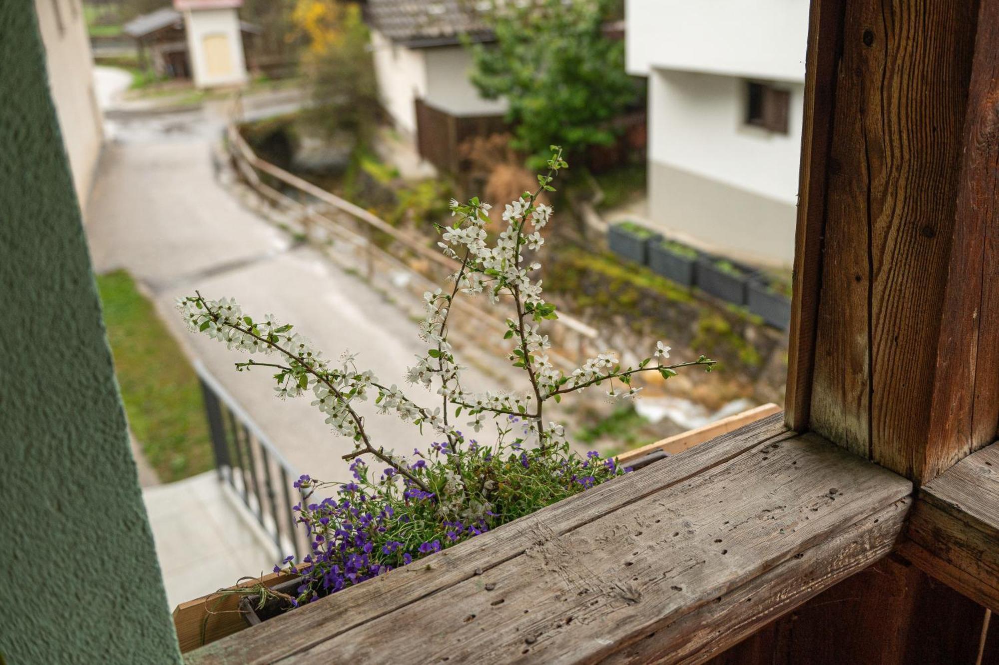 Zelena Hisa Pri Bjov Apartment Bohinjska Bela Bagian luar foto