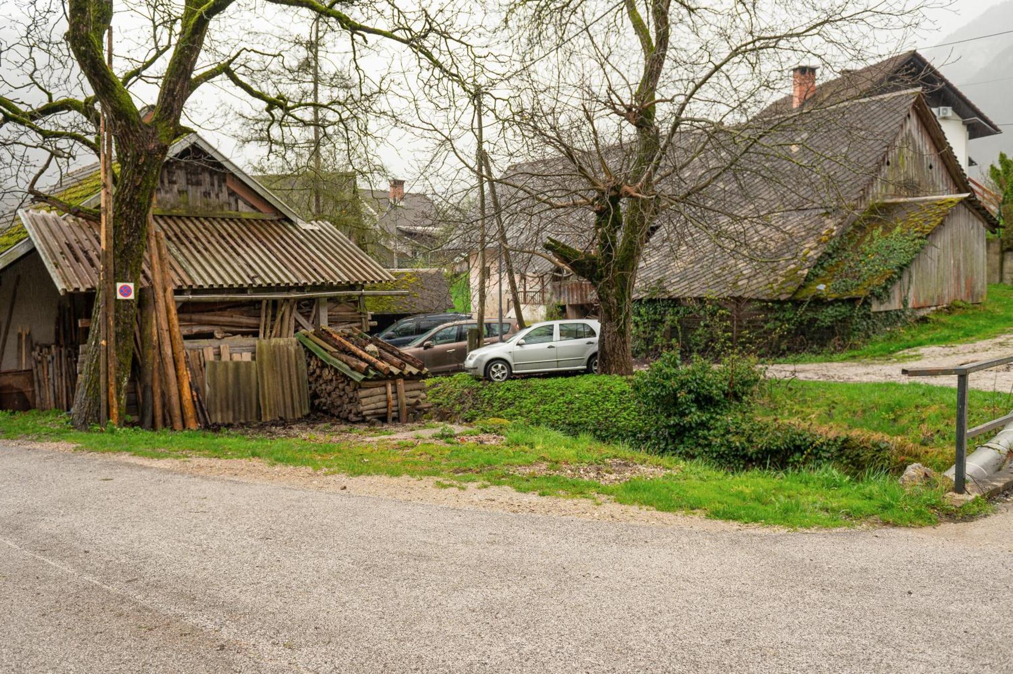 Zelena Hisa Pri Bjov Apartment Bohinjska Bela Bagian luar foto