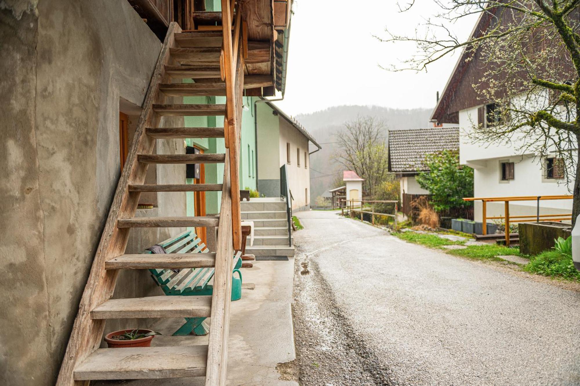 Zelena Hisa Pri Bjov Apartment Bohinjska Bela Bagian luar foto