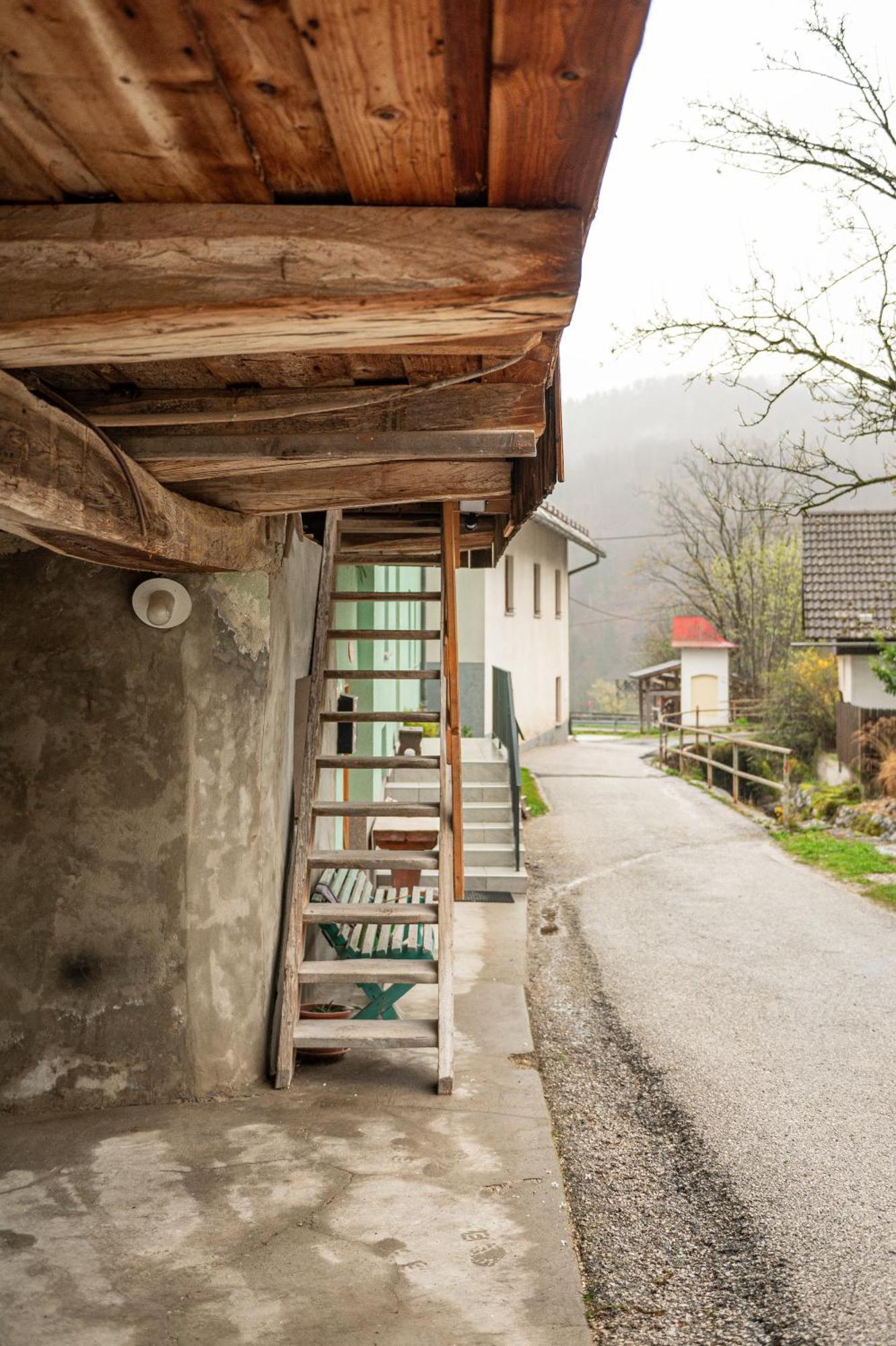 Zelena Hisa Pri Bjov Apartment Bohinjska Bela Bagian luar foto