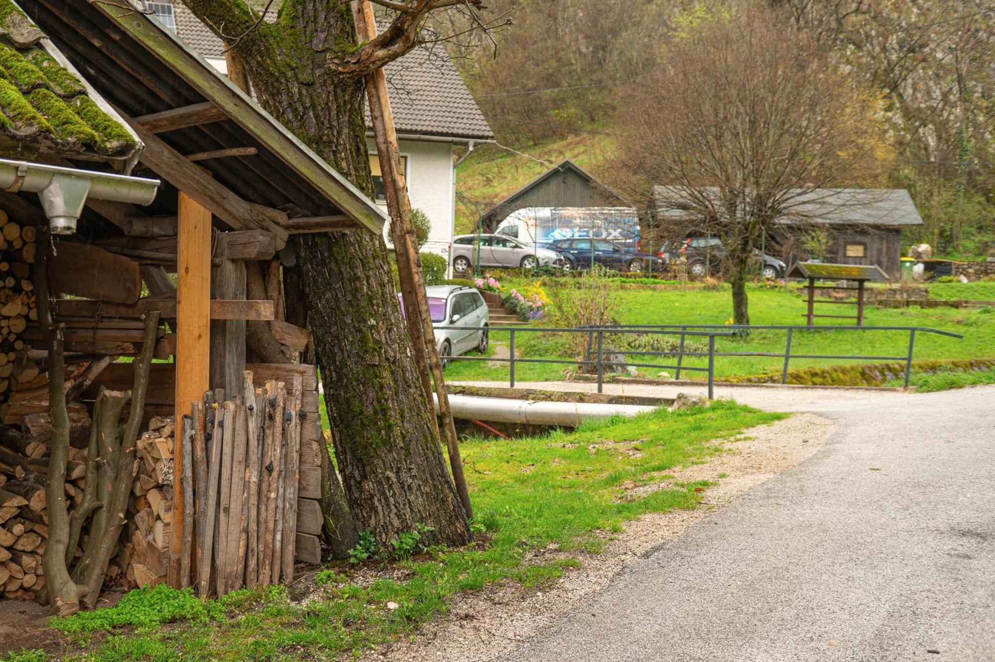 Zelena Hisa Pri Bjov Apartment Bohinjska Bela Bagian luar foto